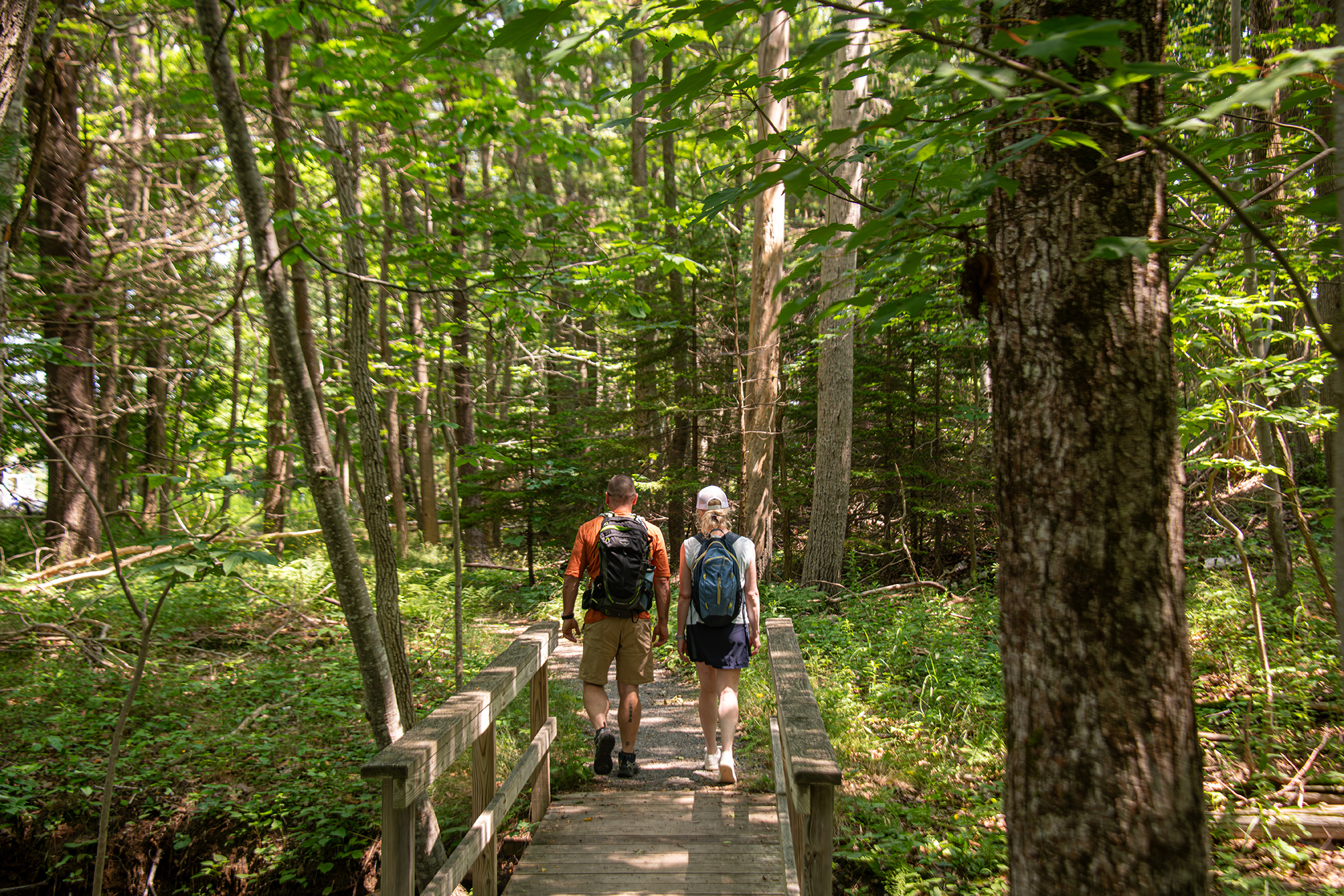 Photo of two hiker on the trail from the Acadia Inn to the carriage trails in Acadia National Park.