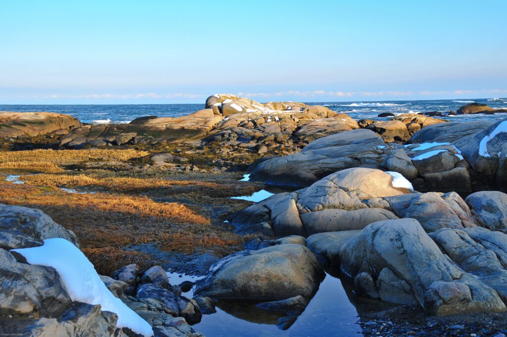 Rocky tidal pools along the Maine coastline near Bar Harbor, with granite boulders and ocean views typical of tide pooling spots in Acadia National Park